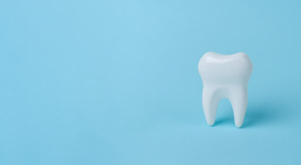 Beyond the Mouth: Embracing the Journey to Whole-Body Wellness