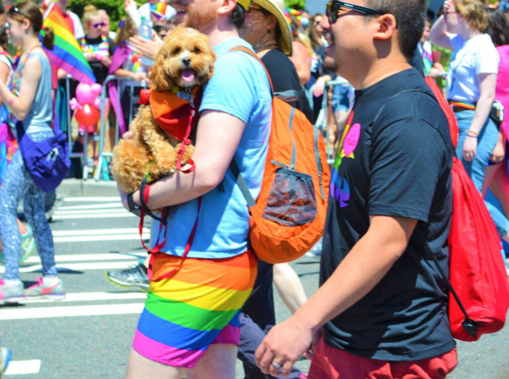 A person in rainbow shorts carries a small dog in a red harness at a pride parade with colorful flags and a crowd in the background